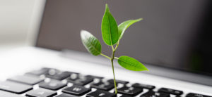 Plant growing from a keyboard symbolising the connection between technology and sustainability 